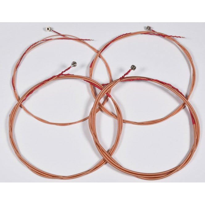 Chord Chord  Acoustic Bass Guitar String 4 Set 40 - 95